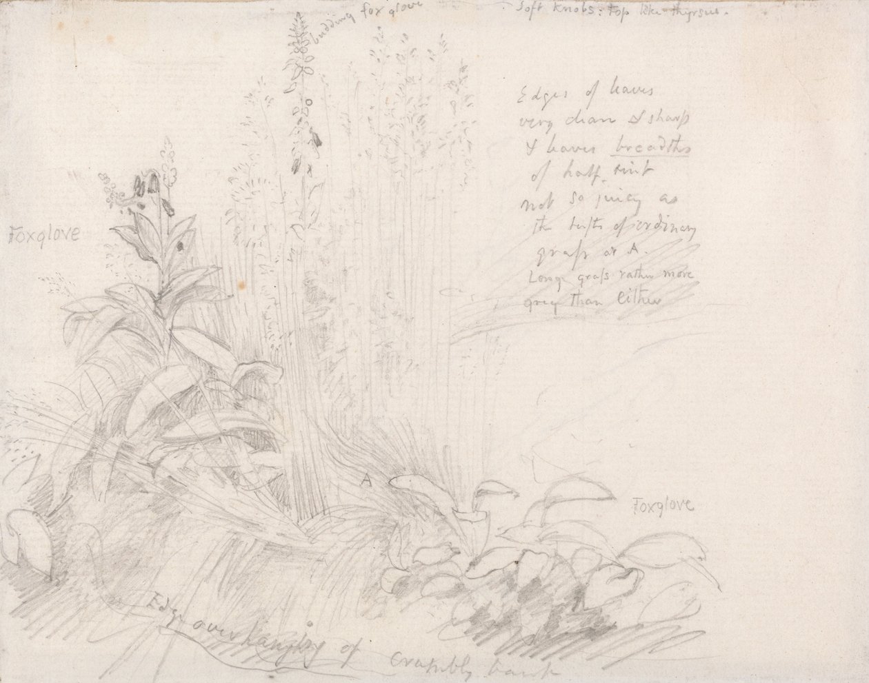 Kettuhanskat tekijältä Samuel Palmer