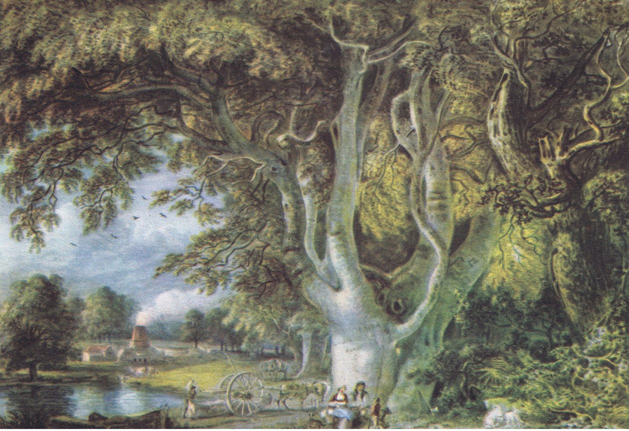 Oak Trees, Shoreham, Kent, Nature in Britain julkaisija Collins, 1946 tekijältä Samuel Palmer