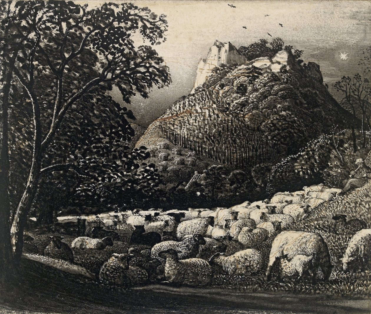 Parvi ja tähti (kynä ja sivellin musteella kynän ja musteen päälle) tekijältä Samuel Palmer