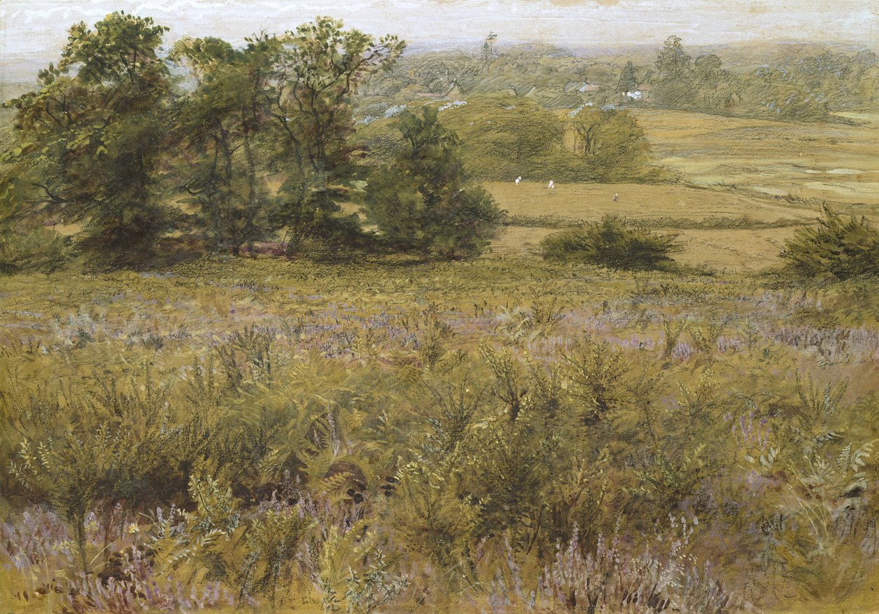 Furze Field, 1800-luku (akvarelli) tekijältä Samuel Palmer