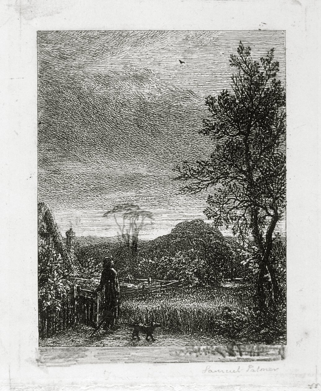 Skylark tekijältä Samuel Palmer