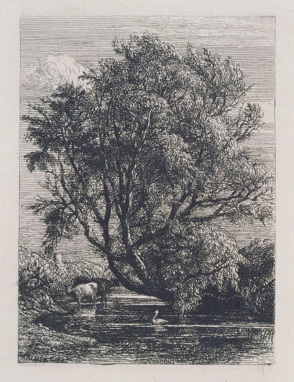 Willow tekijältä Samuel Palmer