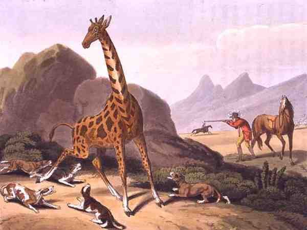 Hunting the Camelopard, kaiverrus Matthew Dubourg (fl.1785-1820), julkaisija Edward Orme tekijältä Samuel (after) Howitt