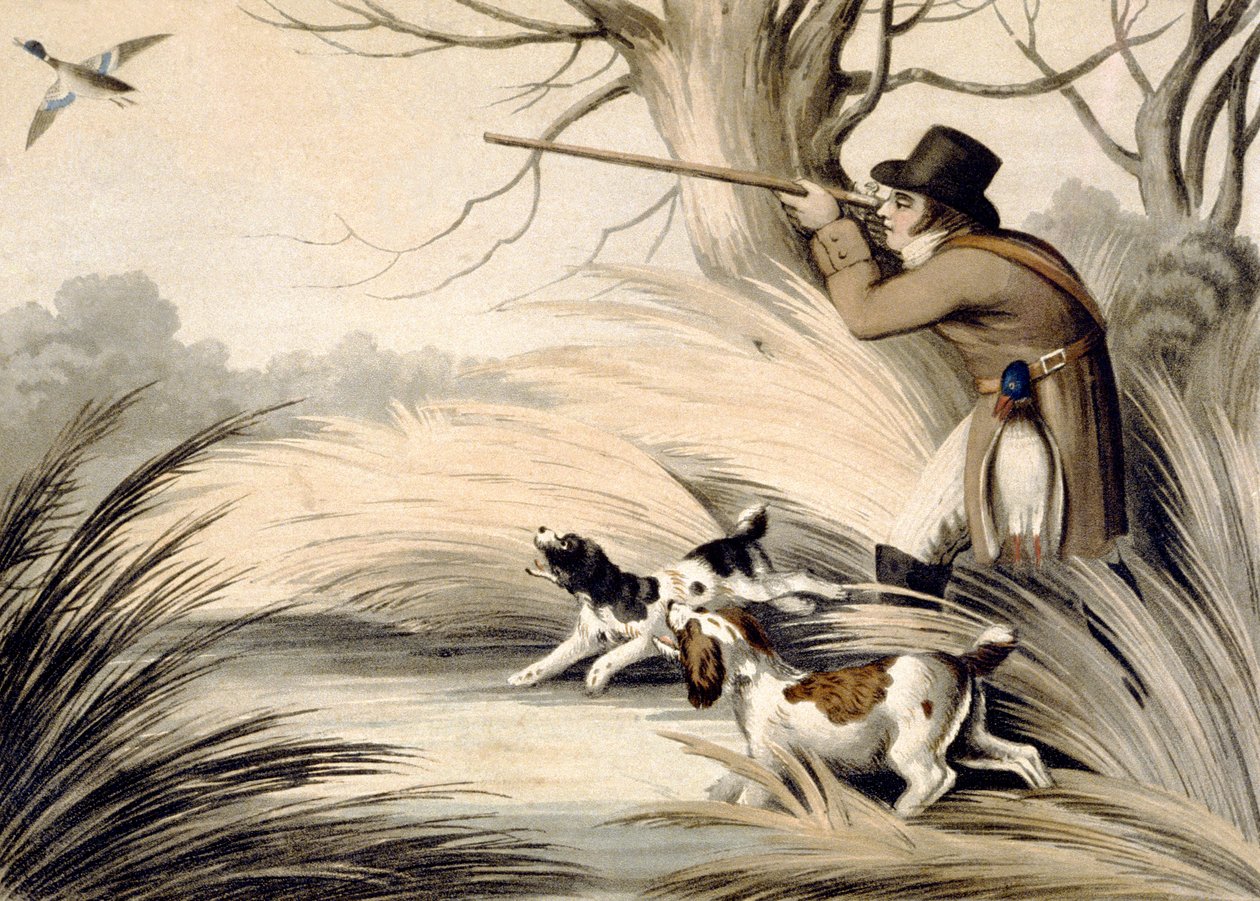 Shooting Duck, kaiverrus H. Merke, n.1809 (väri litho) tekijältä Samuel (after) Howitt
