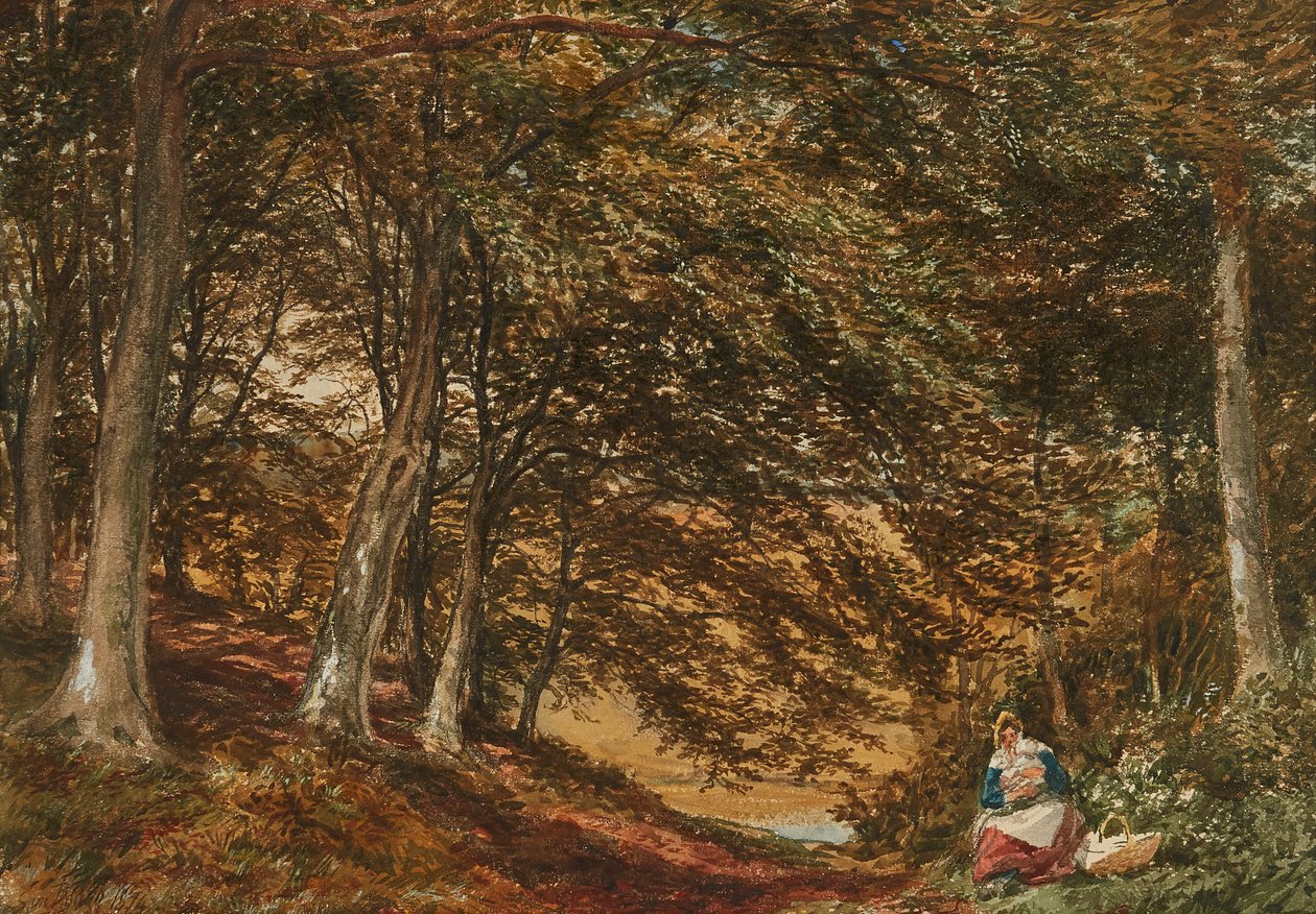 Picnic in the Woods (akvarelli) tekijältä Samuel Bough