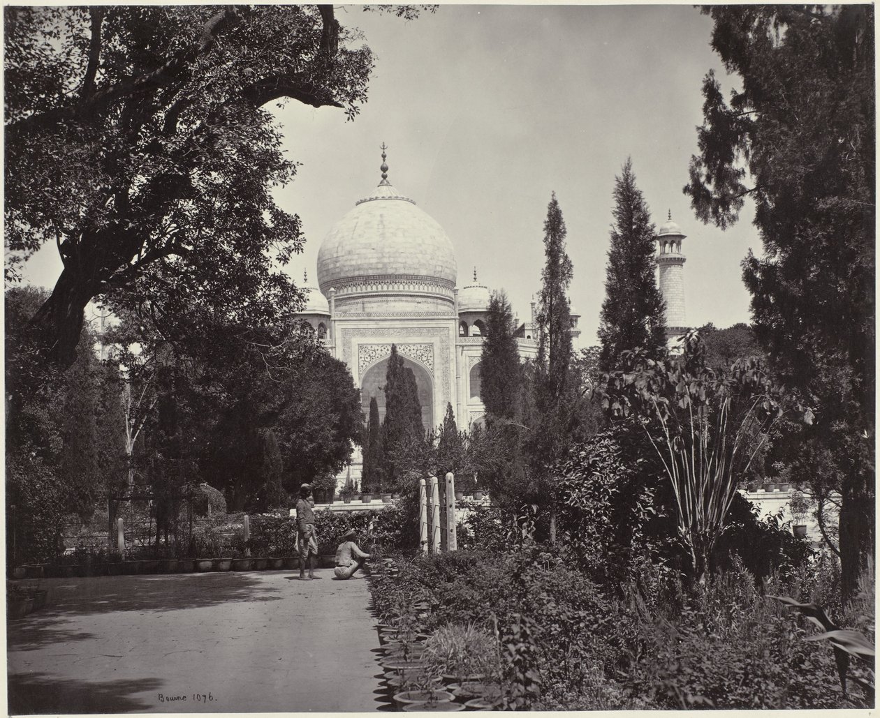 Näkymä Taj Mahalille ja sen puutarhaan Taj, puutarhasta (alkuperäinen nimi) Taj (otsikko esineessä) tekijältä Samuel Bourne (signed by artist)
