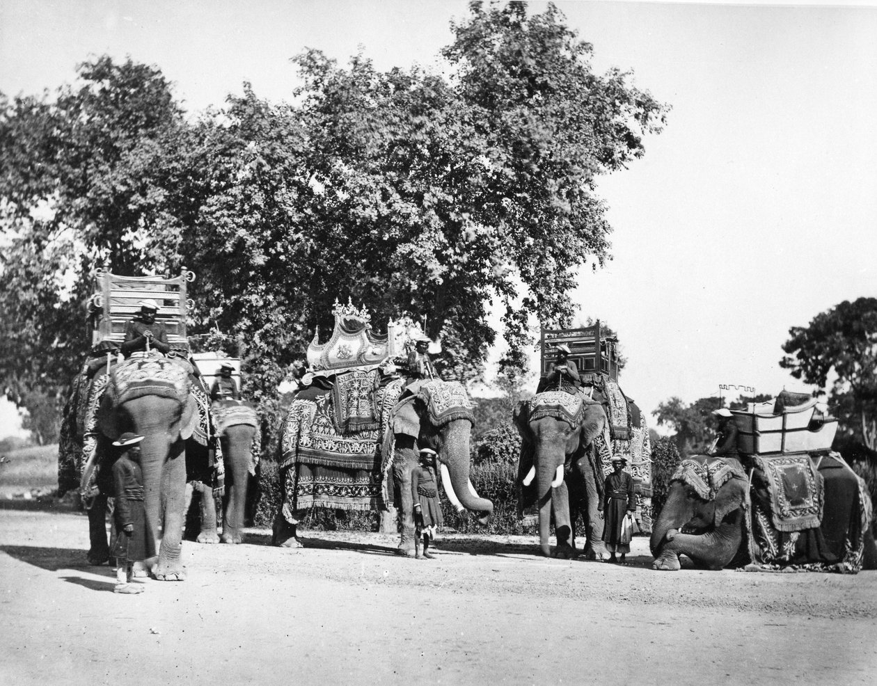 Ryhmä H E:n varakuninkaan norsuja ja heidän tilansa, noin 1860-luku tekijältä Samuel Bourne