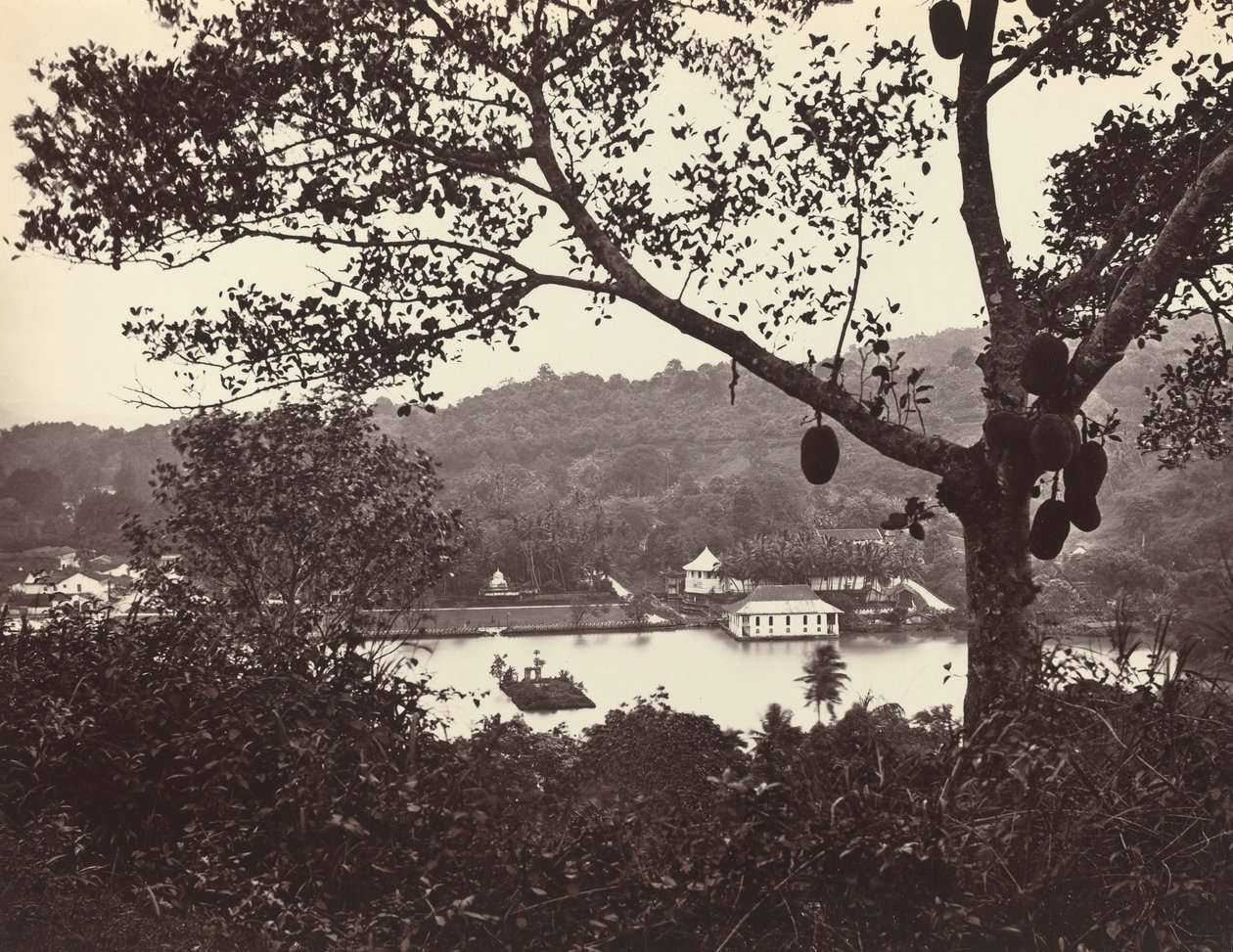 Kurkistus Upper Lake Roadilta, jossa näkyy temppeli ja saari puistoineen - hedelmäpuu etualalla, vuodelta 1865. tekijältä Samuel Bourne