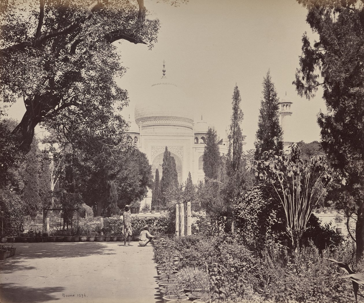 Agra. Näkymä puutarhasta Taj Mahalille tekijältä Samuel Bourne