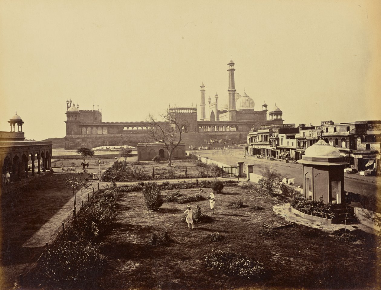 Delhi; Jumma Musjid, pohjoisesta katsottuna tekijältä Samuel Bourne