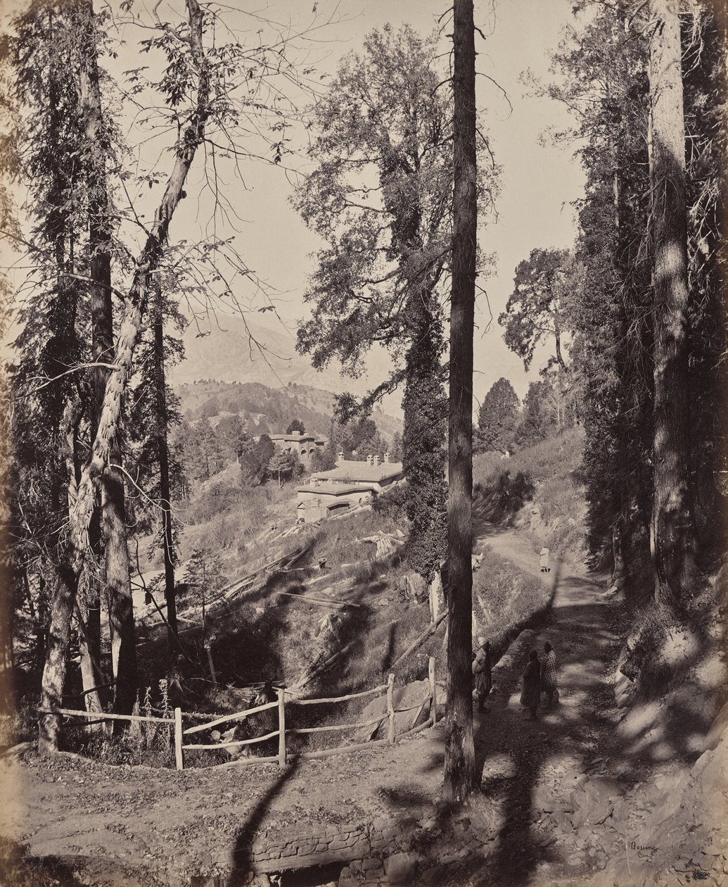 Murree. Himalajan vuoristoasema, näkymä metsän läpi tekijältä Samuel Bourne