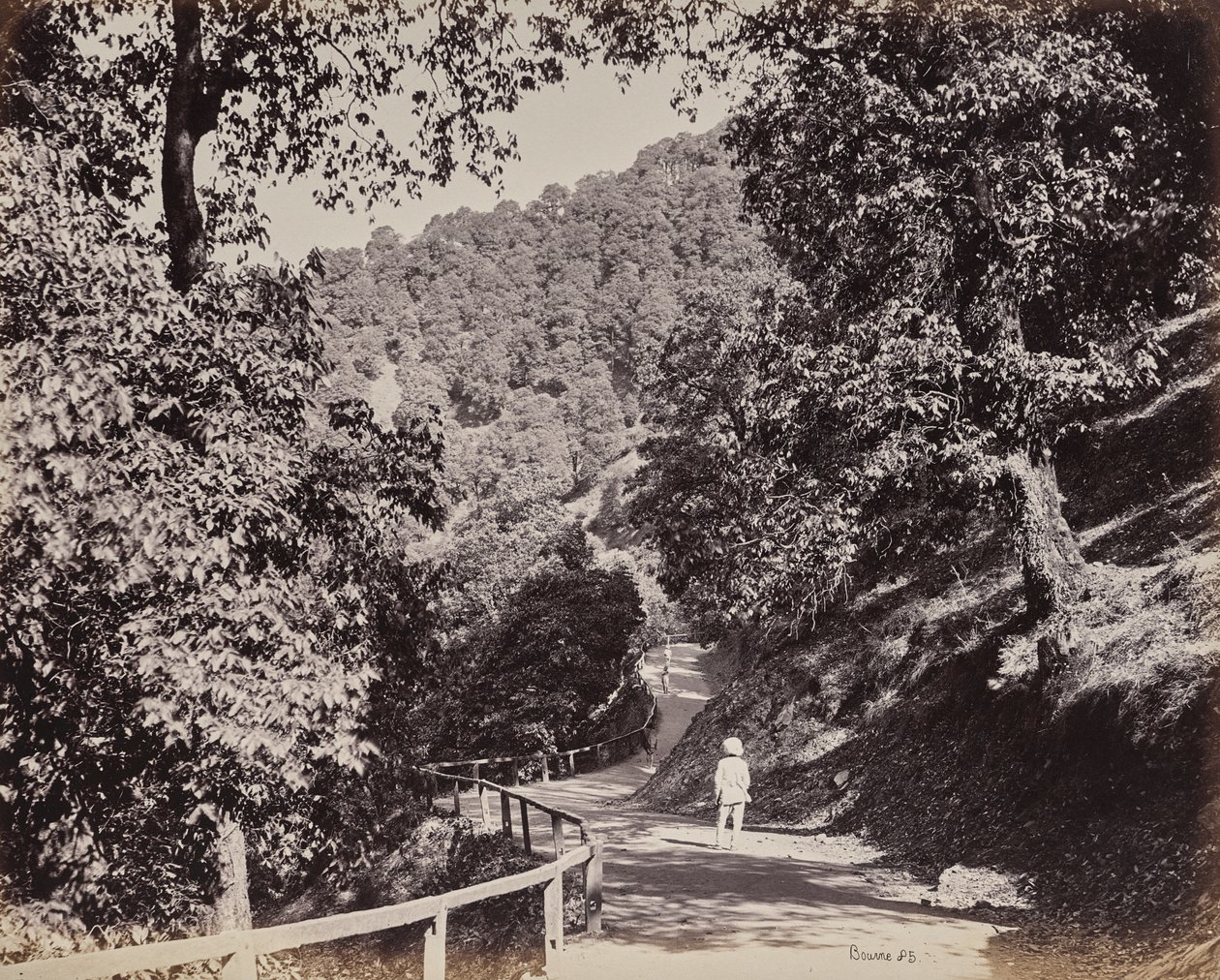 Shimla. The Mall lähellä Raby Lodgea tekijältä Samuel Bourne