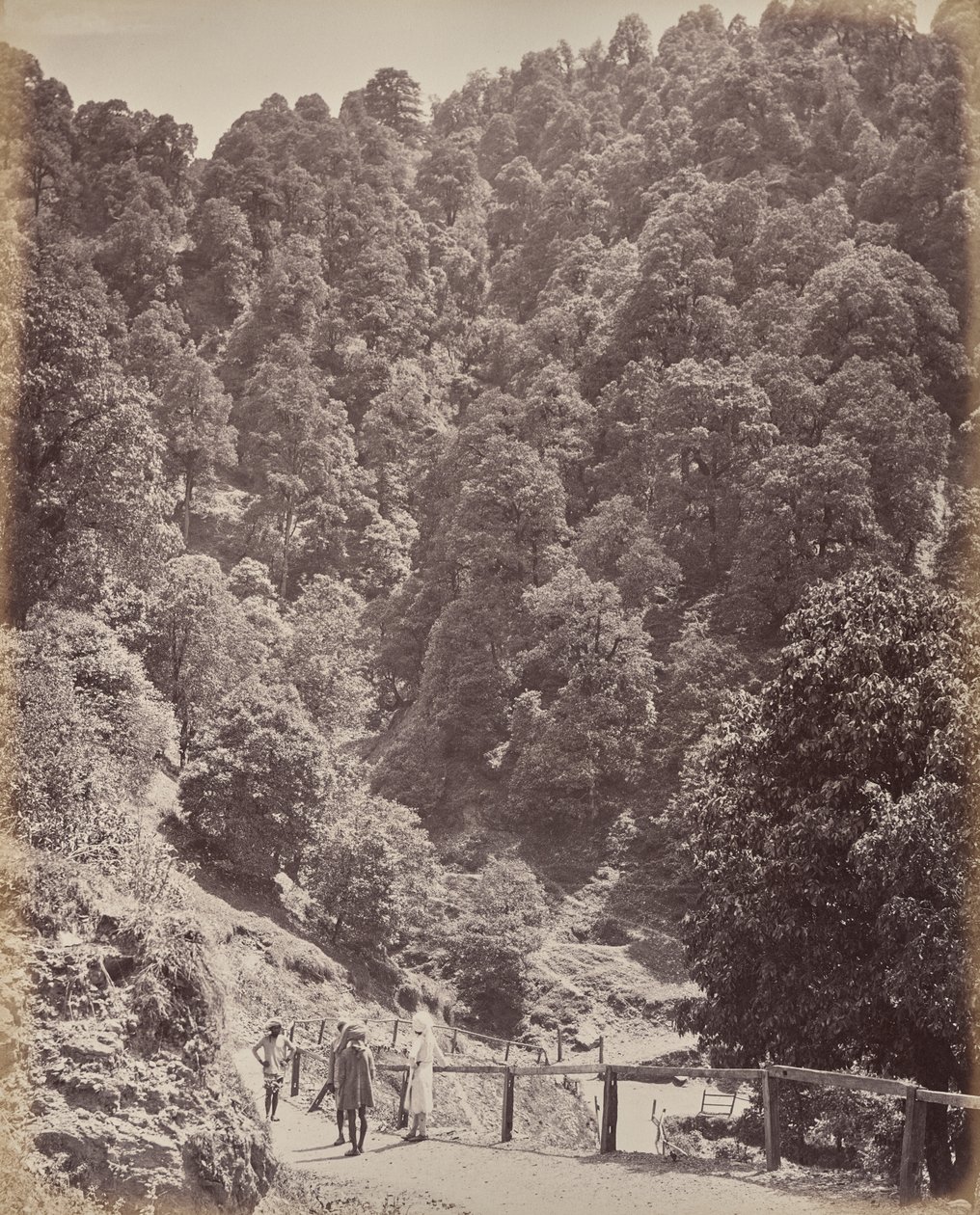 Shimla. Näkymä Mount Jakkon pohjoispuolelta tekijältä Samuel Bourne
