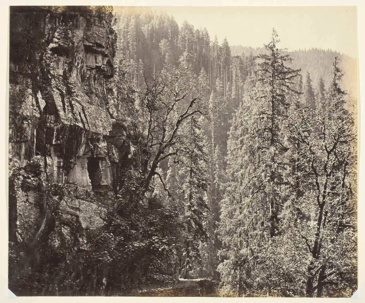 Nimetön [kalliot ja puut], c. 1865. tekijältä Samuel Bourne