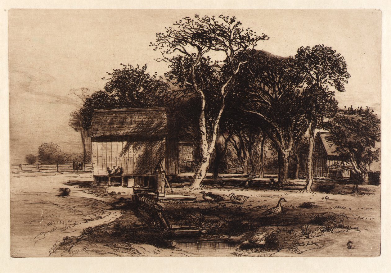 (Untitled) tekijältä Samuel Colman