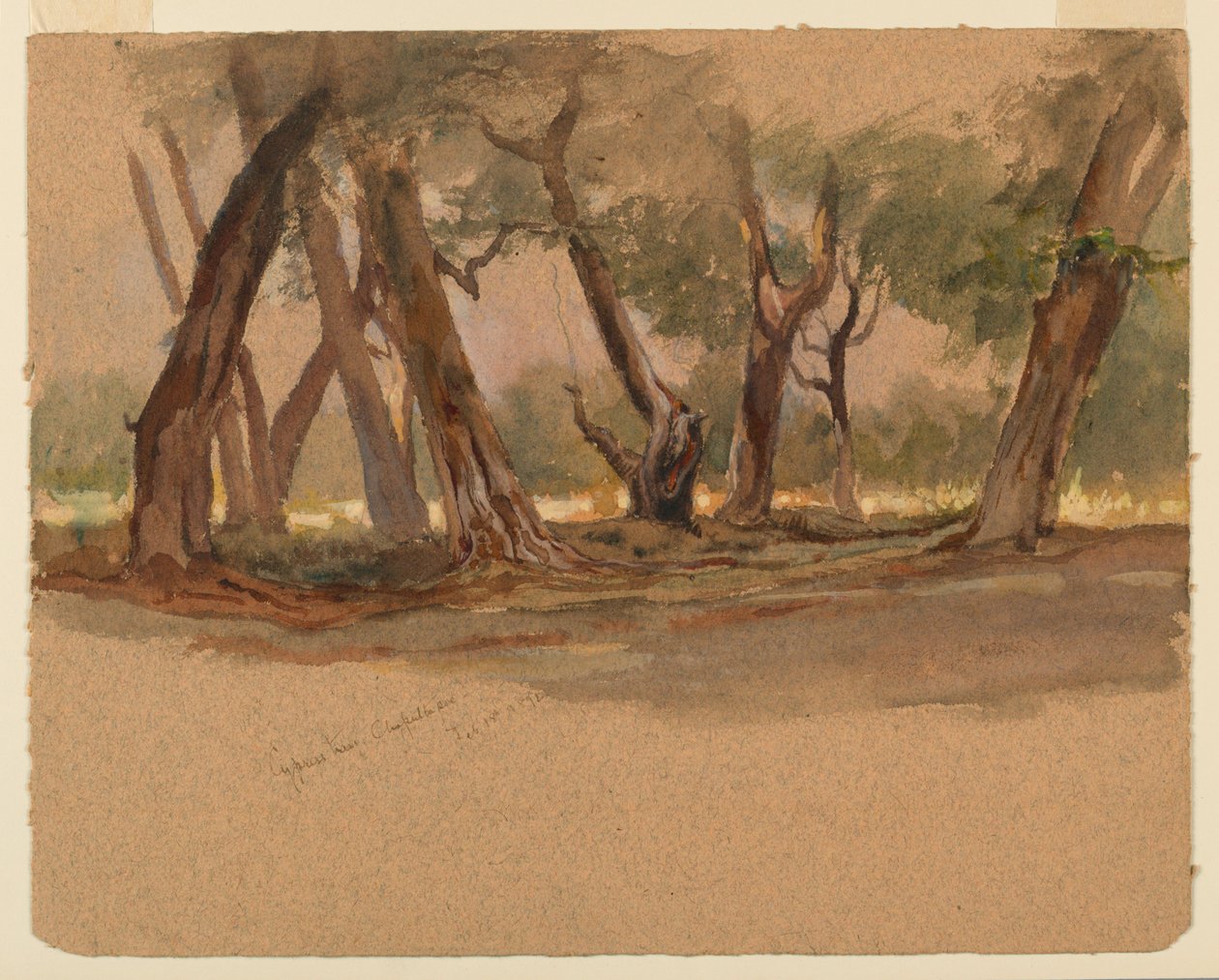 Xiprers, Chapultepec, Mèxic-finès tekijältä Samuel Colman