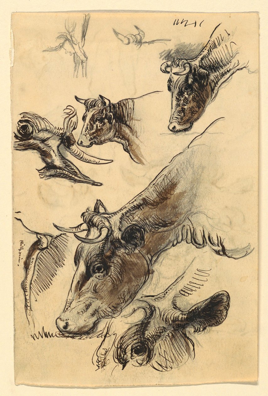 Piirustus, luonnokset. Karja, Irvington, syyskuu 1876. tekijältä Samuel Colman
