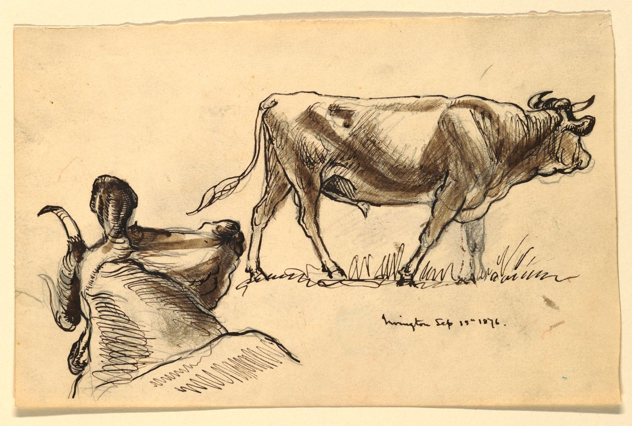 Piirustus, luonnokset. Karja, Irvington, syyskuu 1876. tekijältä Samuel Colman