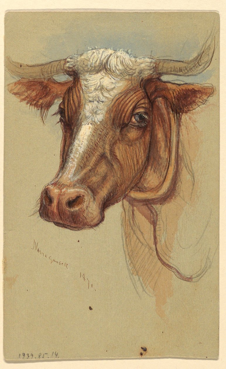 Piirros, Luonnoksia Narragansettista, Rhode Islandista, 1871. tekijältä Samuel Colman