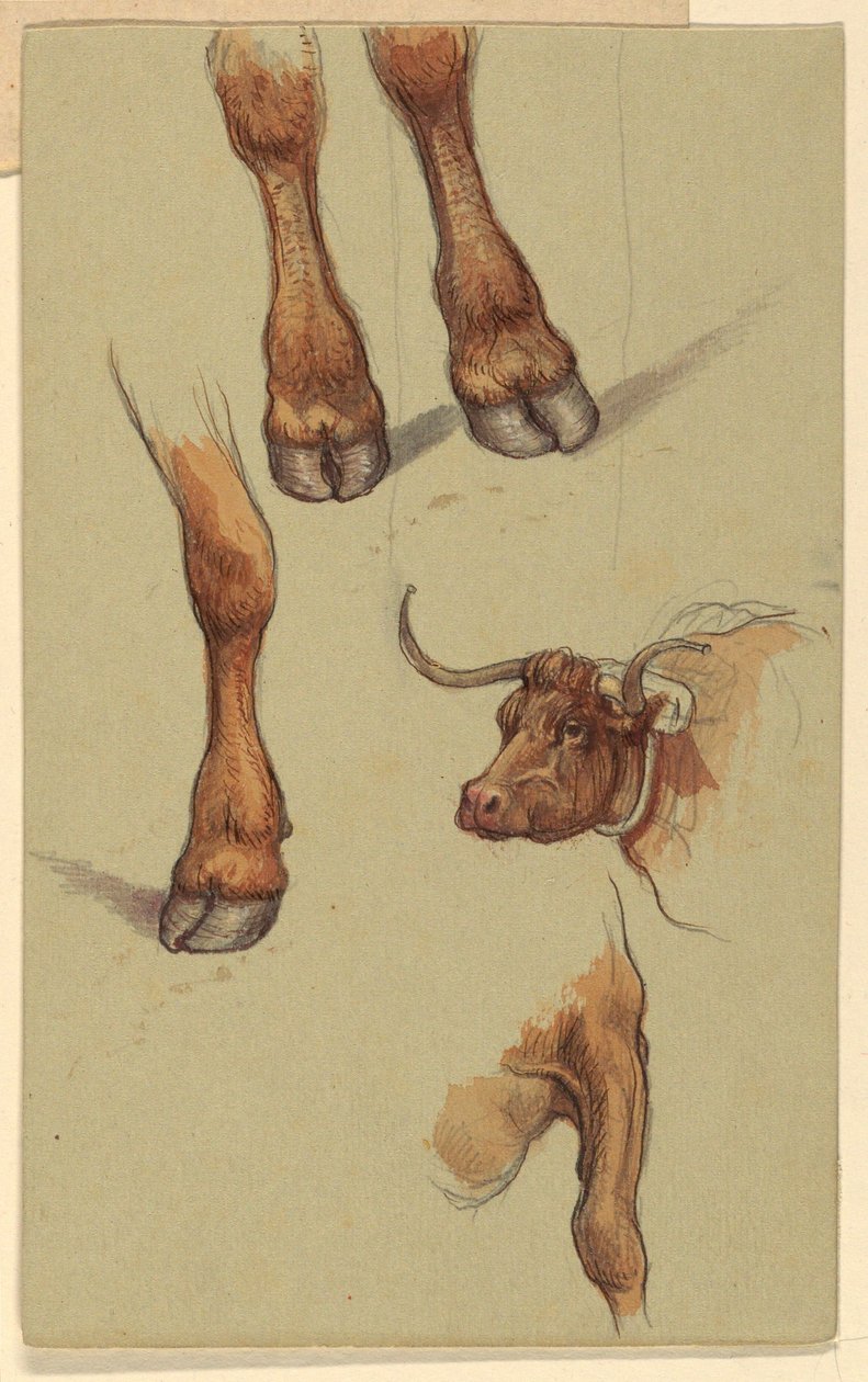 Piirros, luonnoksia Narragensettistä, Rhode Islandista. 1871. tekijältä Samuel Colman