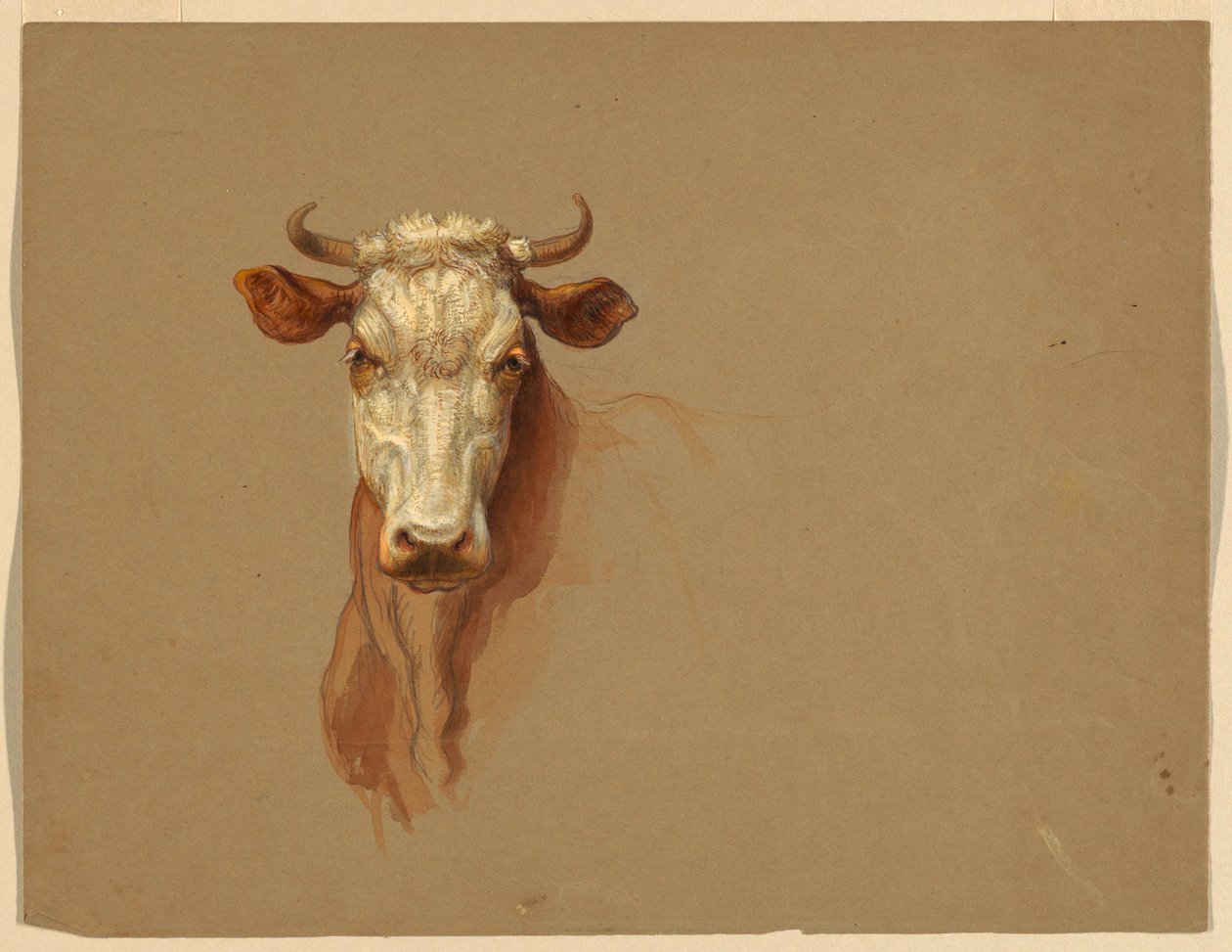 Piirustus, Kaksi tutkimusta.  Karja, 1876 tekijältä Samuel Colman