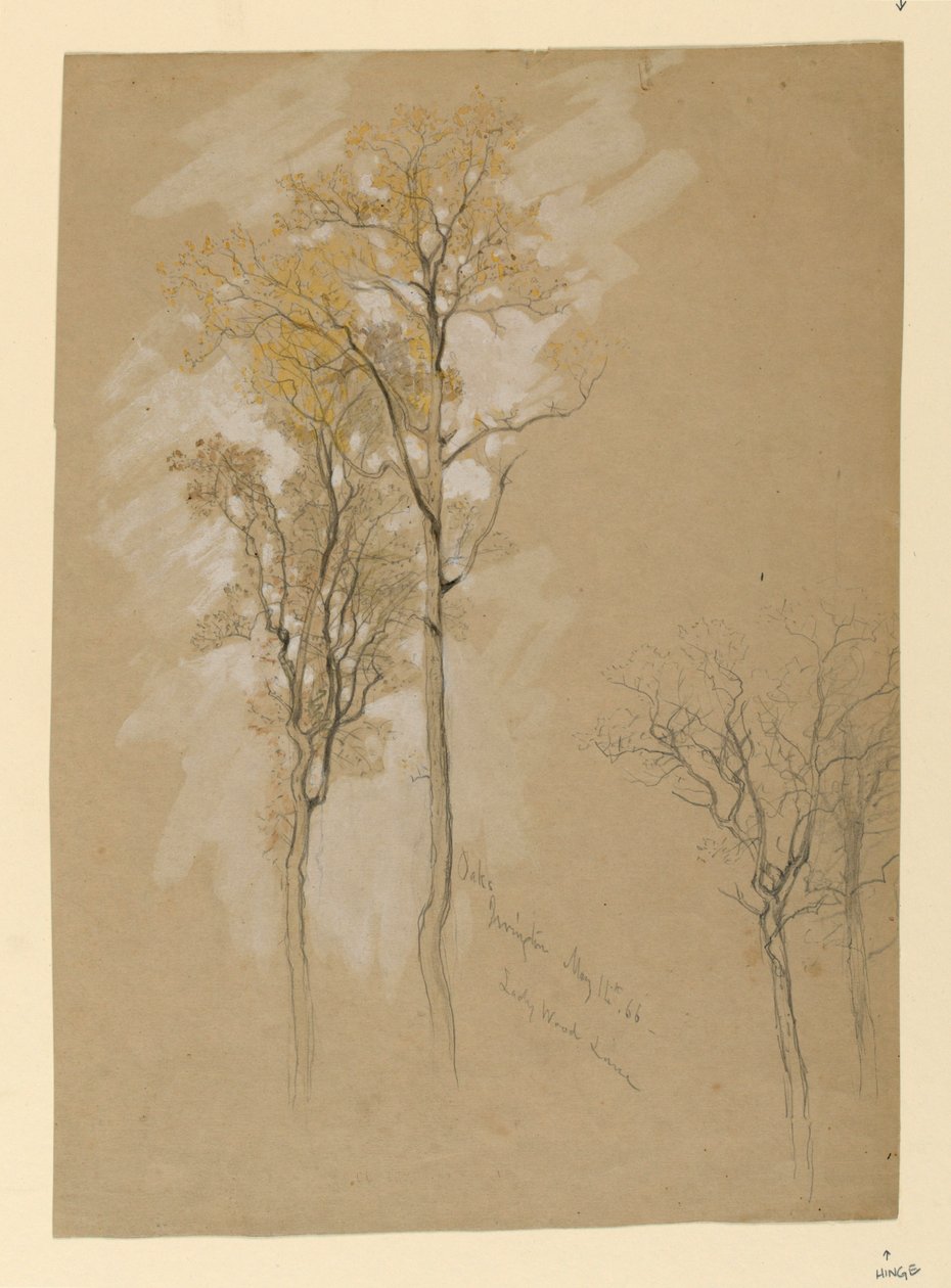 Oaks, Lady Wood Lane, Irvington tekijältä Samuel Colman