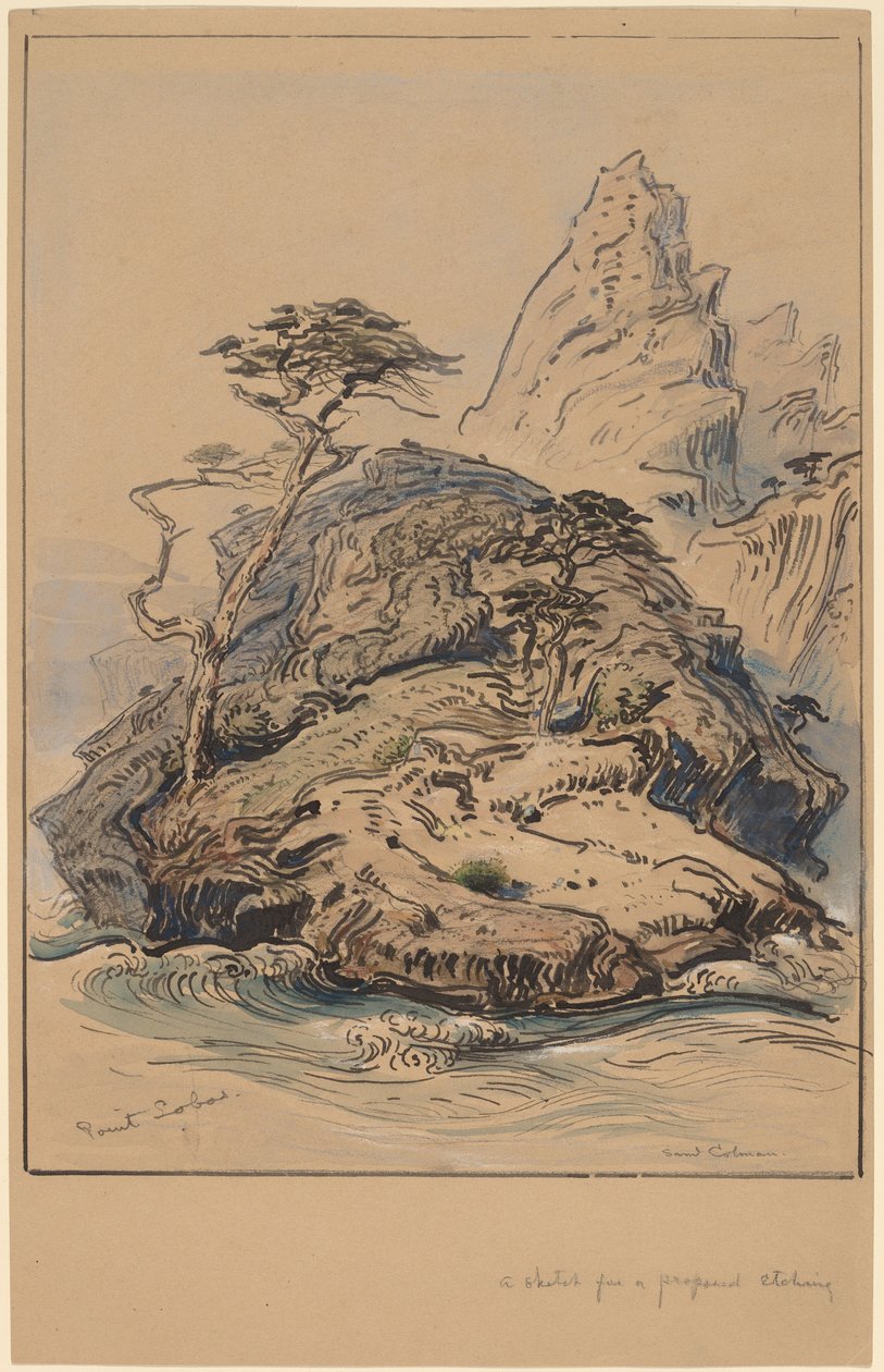Point Lobos, Kalifornia tekijältä Samuel Colman