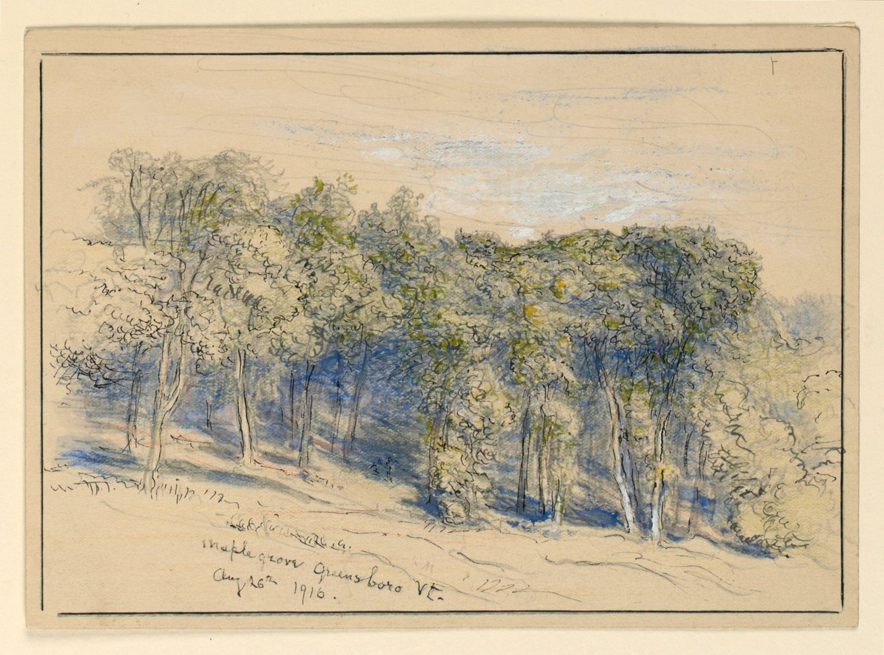 Tutkimus Maple Grovesta, Greensborosta, Vermontista tekijältä Samuel Colman