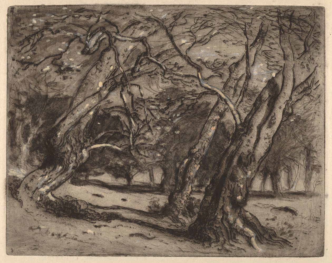 Nimetön (metsämaisema) tekijältä Samuel Colman
