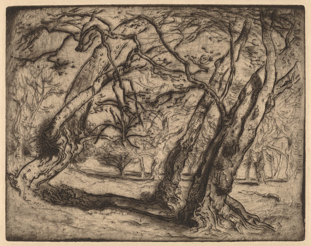 Nimetön (metsämaisema) tekijältä Samuel Colman