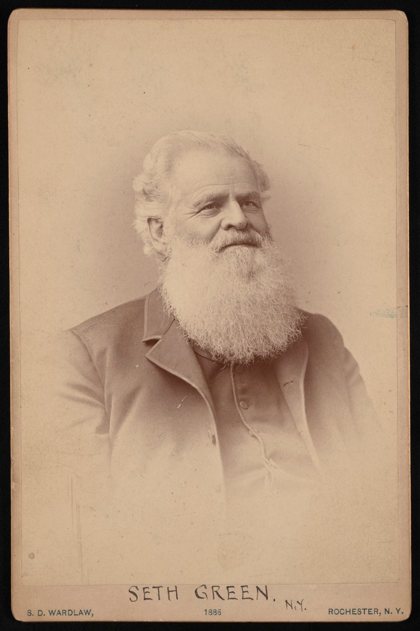 Seth Greenin muotokuva 1817-1888, 1886. tekijältä Samuel D Wardlaw