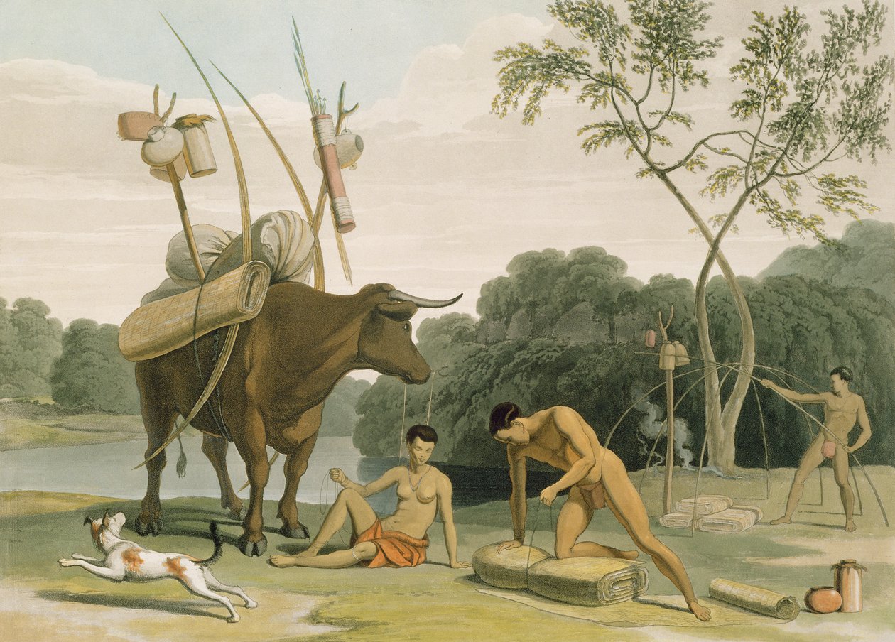 Korah Hottentots Preparing to Remove, levy 20 Afrikan maisemista ja eläimistä, taiteilijan kaiverrus, 1805 (akvatinta) tekijältä Samuel Daniell