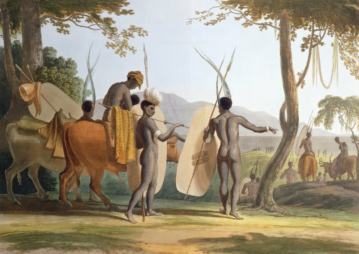 Maaliskuussa taiteilijan kaivertama levy 5 teoksesta "Afrikkalainen maisema ja eläimet", 1804 (akvatinta) tekijältä Samuel Daniell