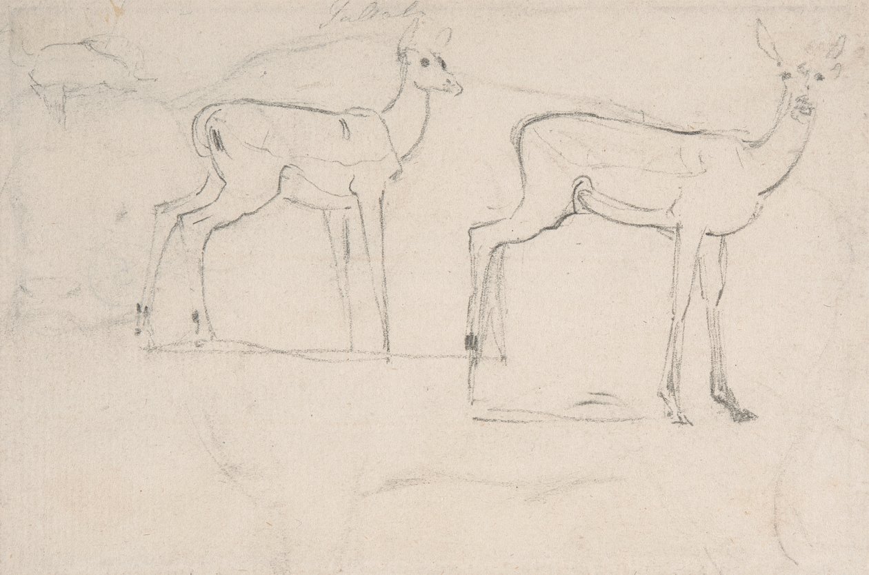 Tutkimus kahdelle seisovalle Pallah Deerille tekijältä Samuel Daniell