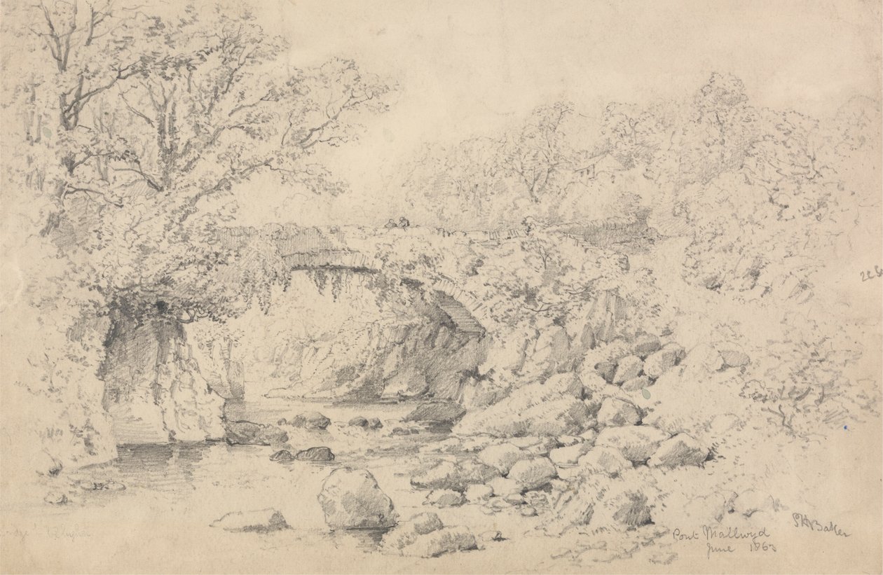 Mallwydin silta tekijältä Samuel Henry Baker
