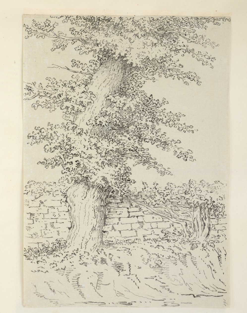 Lisätä. MS 15546 Am Elm Tree Bedminsterissä tekijältä Samuel Hieronymous Grimm