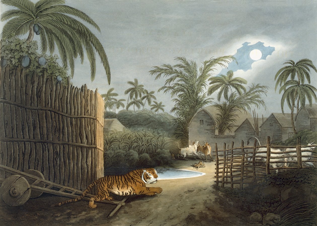 Tiikeri kulkee kylän läpi (karja kauhuissaan), Thomas Williamsonin teoksesta 