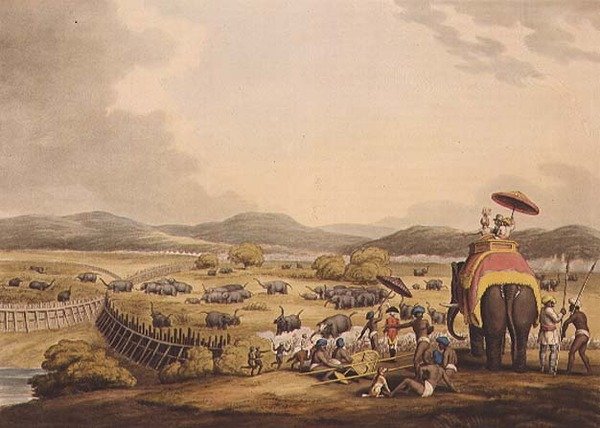 Driving Elephants Into A Keddah, "Oriental Field Sports", pub. Kirjailija: Edward Orme tekijältä Samuel Howett