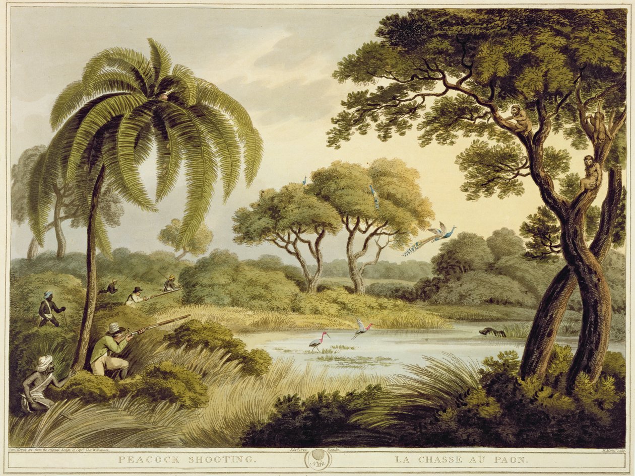 Peacock Shooting, Oriental Field Sportsilta, pub. kirjoittanut Edward Orme, 1807 (painettu) tekijältä Samuel Howett