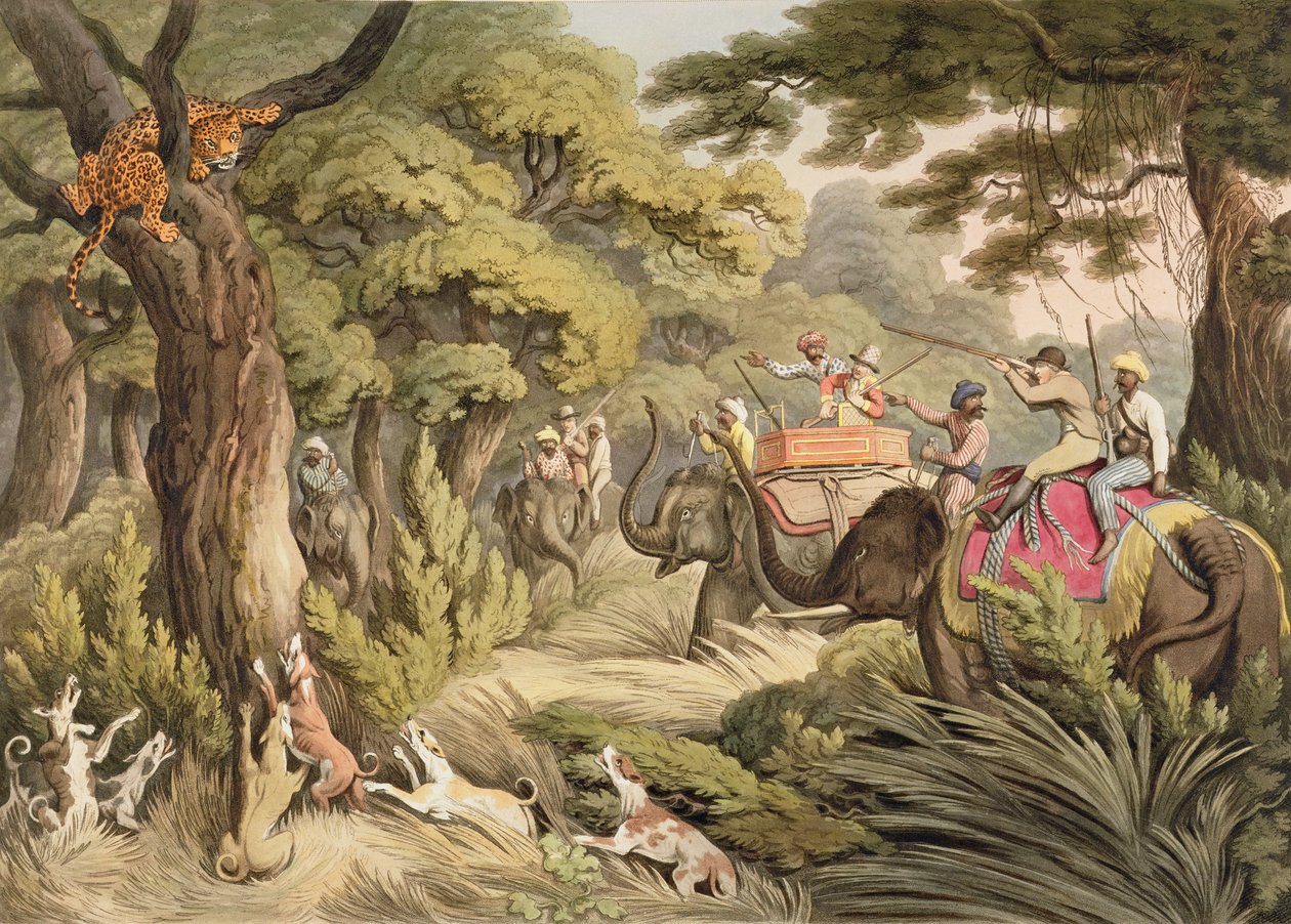 Shooting A Leopard, Oriental Field Sports, pub. kirjoittanut Edward Orme, 1807 (painettu) tekijältä Samuel Howett