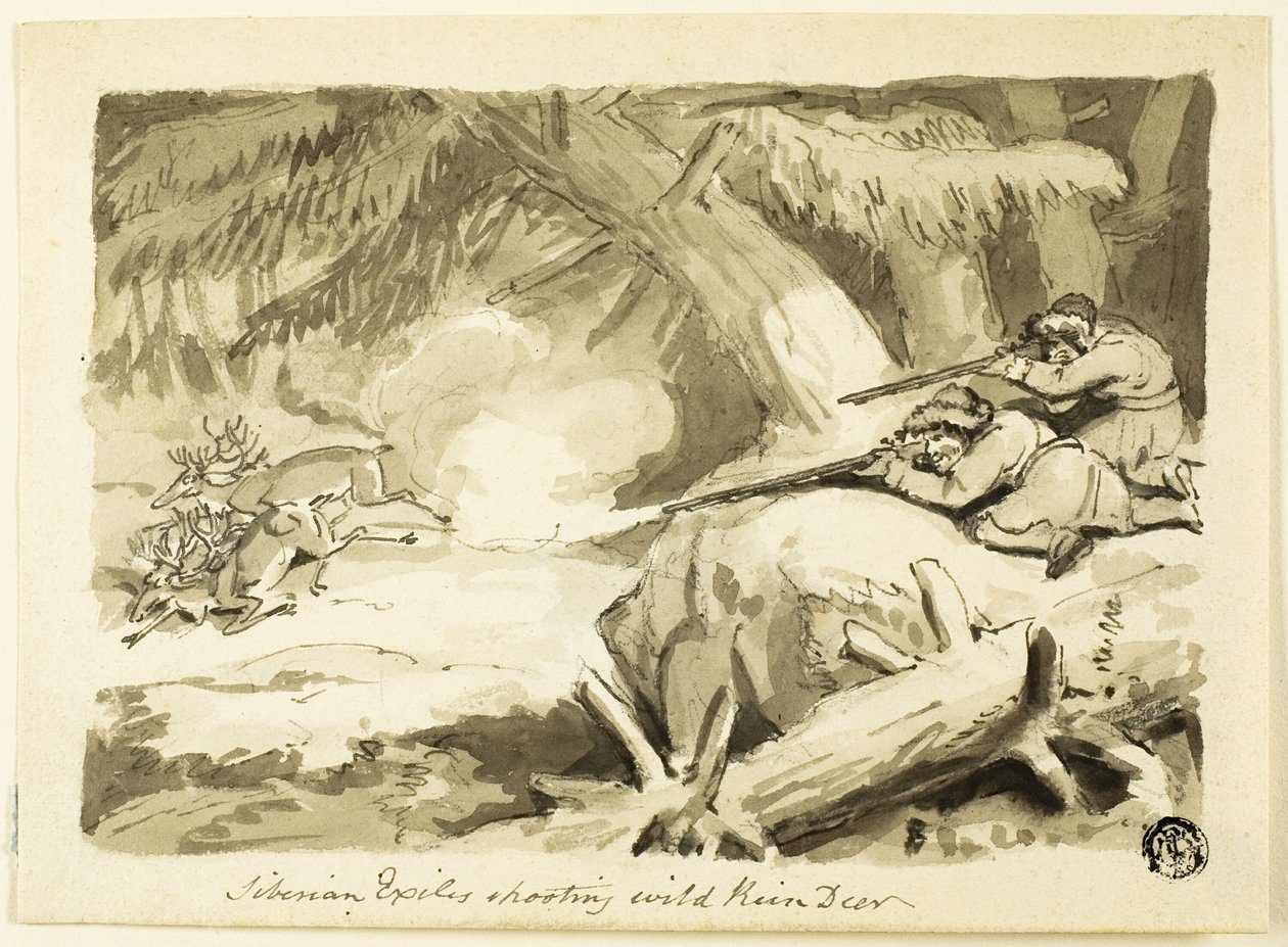 Siperian maanpakolaiset ampuvat villiporoja (recto); Shell (käänteinen) tekijältä Samuel Howett