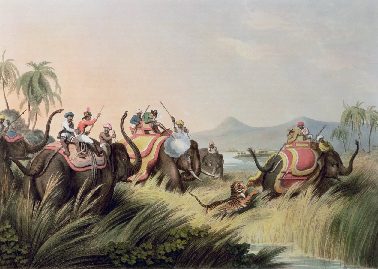 The Tiger At Bay, Oriental Field Sports, pub. kirjoittanut Edward Orme, 1807 (painettu) tekijältä Samuel Howett