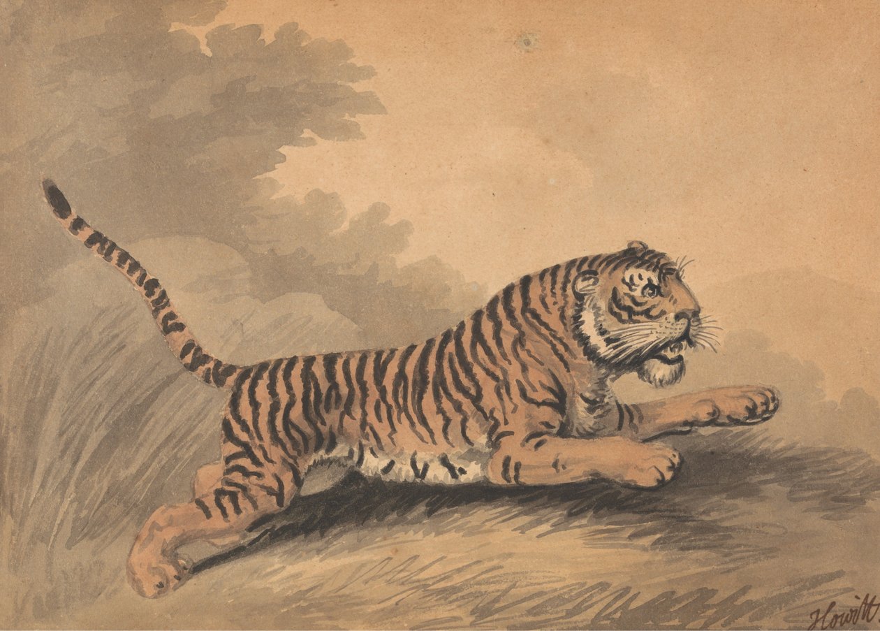 Eine Tigerin springt nach rechts tekijältä Samuel Howitt