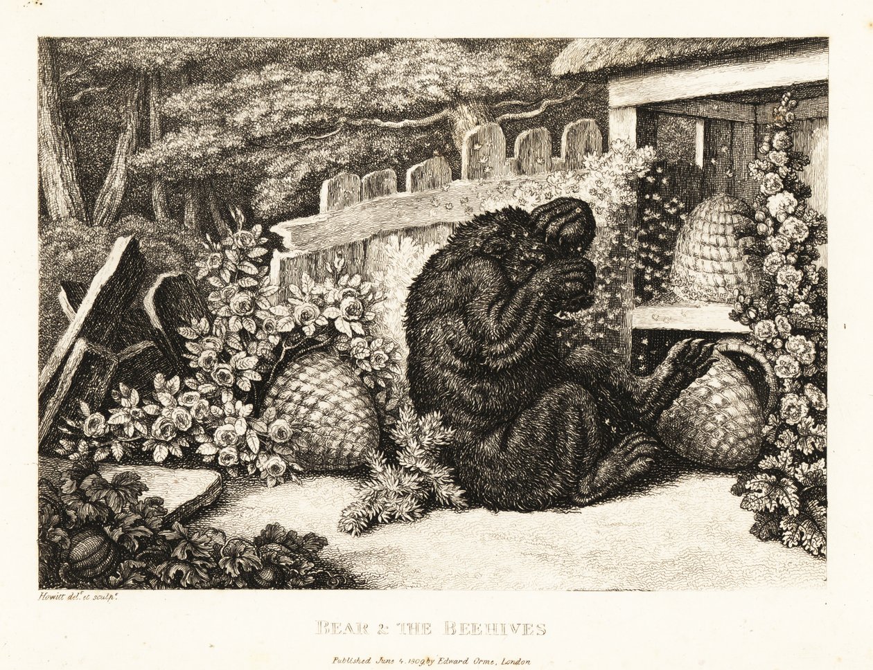 Ruskea karhu hyökkäsi mehiläisarmeijan kimppuun. 1811 (etsaus) tekijältä Samuel Howitt