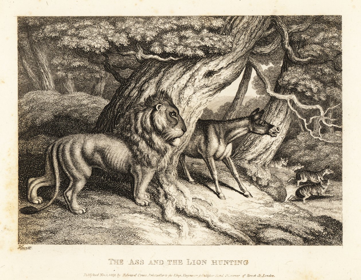 Aasi huutaa äänekkäästi saalista metsästäessään leijonan kanssa. 1811 (etsaus) tekijältä Samuel Howitt