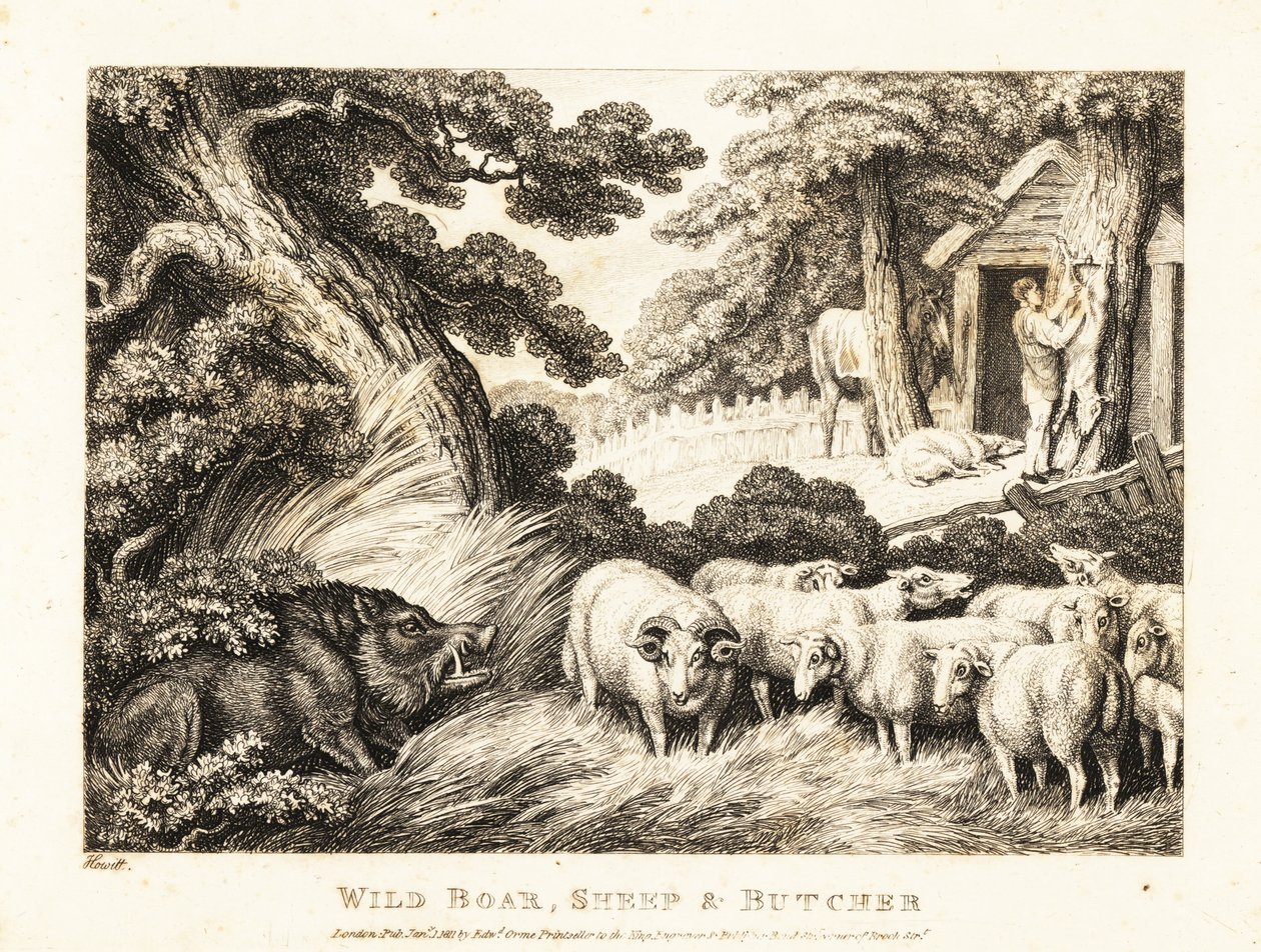 Lammaslauma odottaa teurastajan teurastusta. 1811 (etsaus) tekijältä Samuel Howitt