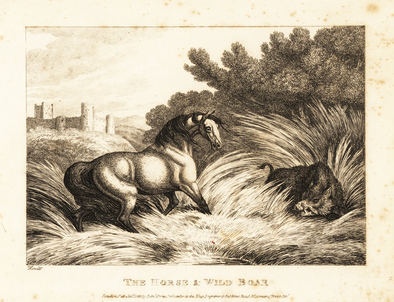Hevonen ja villisika kohtaavat laitumella. 1811 (etsaus) tekijältä Samuel Howitt