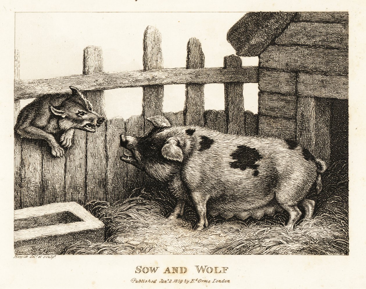 Iso emakko sikalaudassa ärähtelee susille. 1811 (etsaus) tekijältä Samuel Howitt