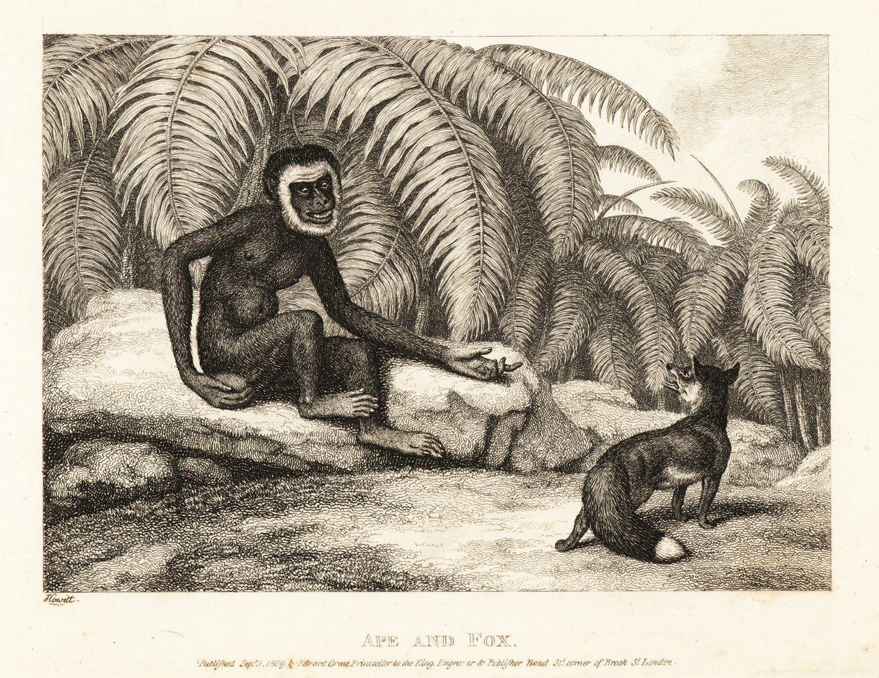 Hännäntön apina pyytää ketulta häntäänsä. Apina ja kettu. 1811 (etsaus) tekijältä Samuel Howitt