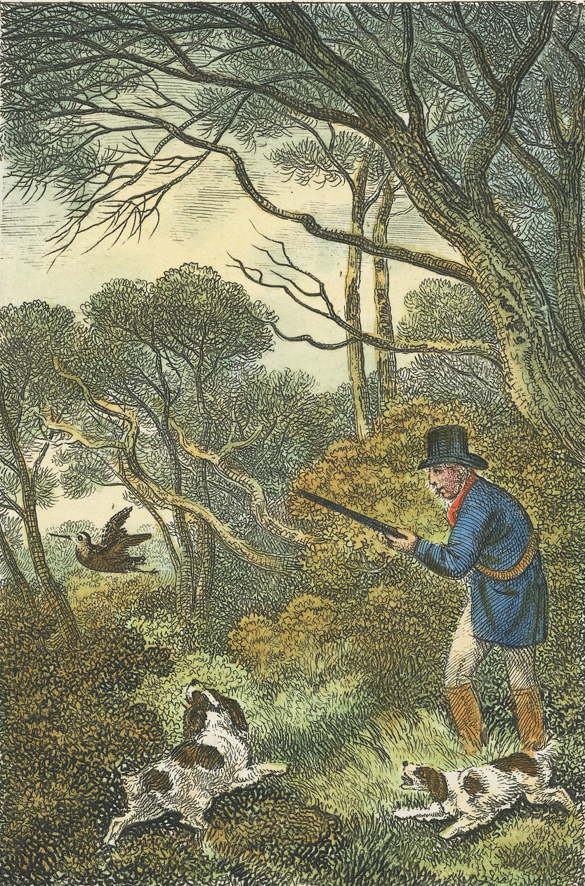 Metsäkukon metsästys, 1819 (käsin väritetty kaiverrus). tekijältä Samuel Howitt